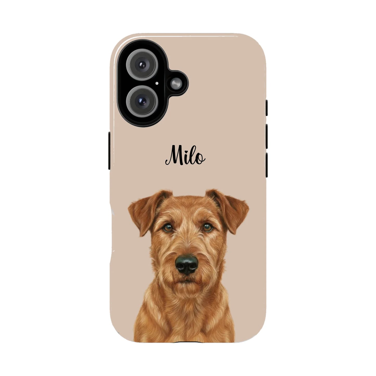iPhone 16