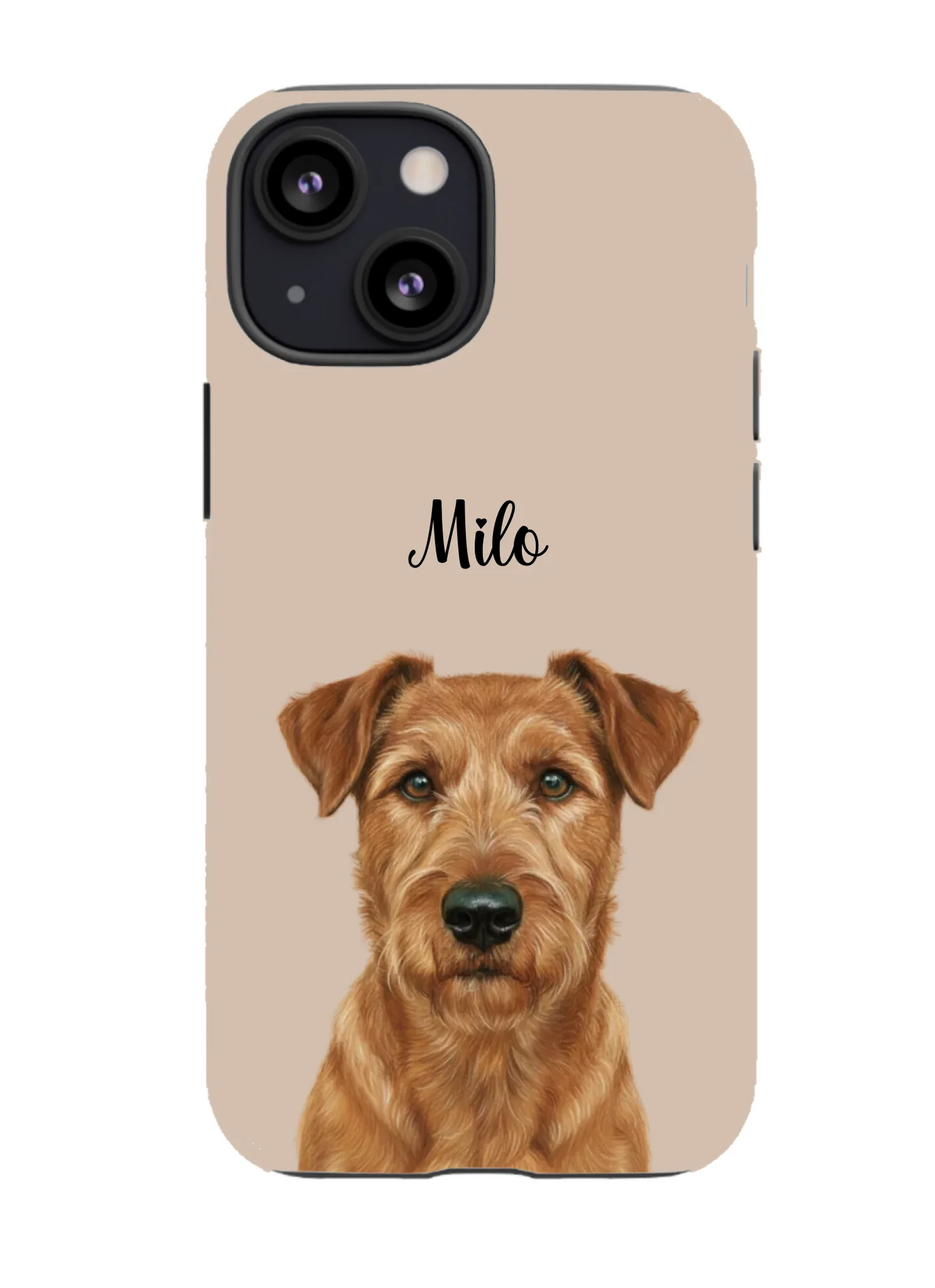 iPhone 13 mini